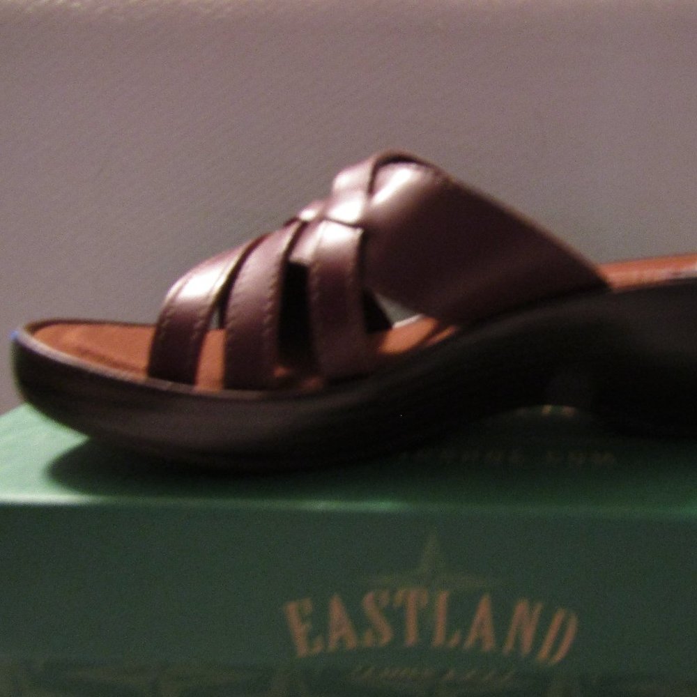 EASTMAN SANDELS